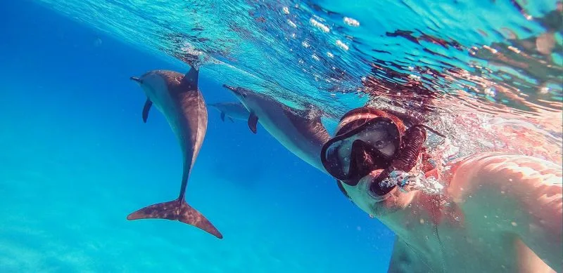 Pyramiden, Nilkreuzfahrt & Hurghada (10 Tage) urlaub in ägypten